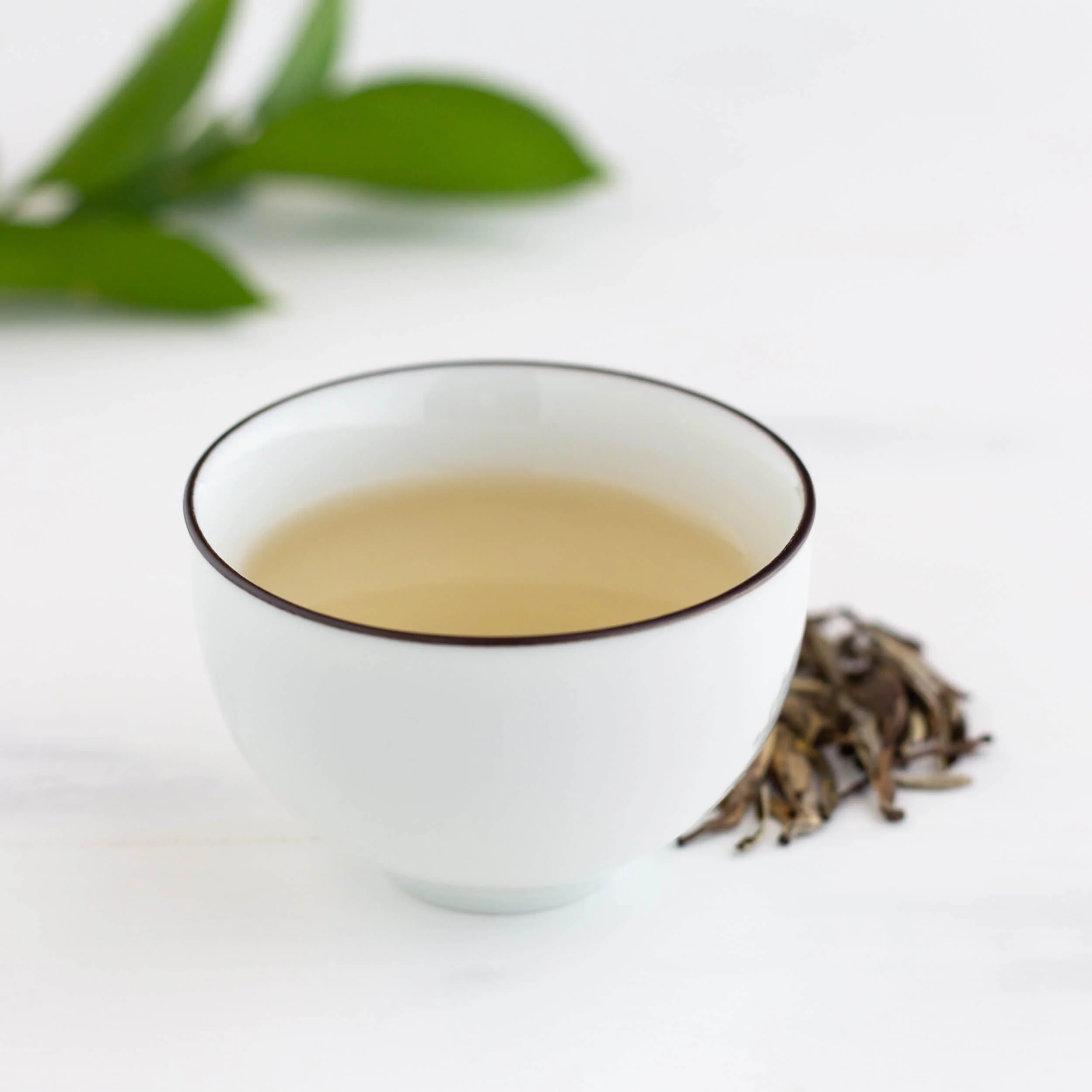 Jasmine Silver Needle White Tea - Image 3