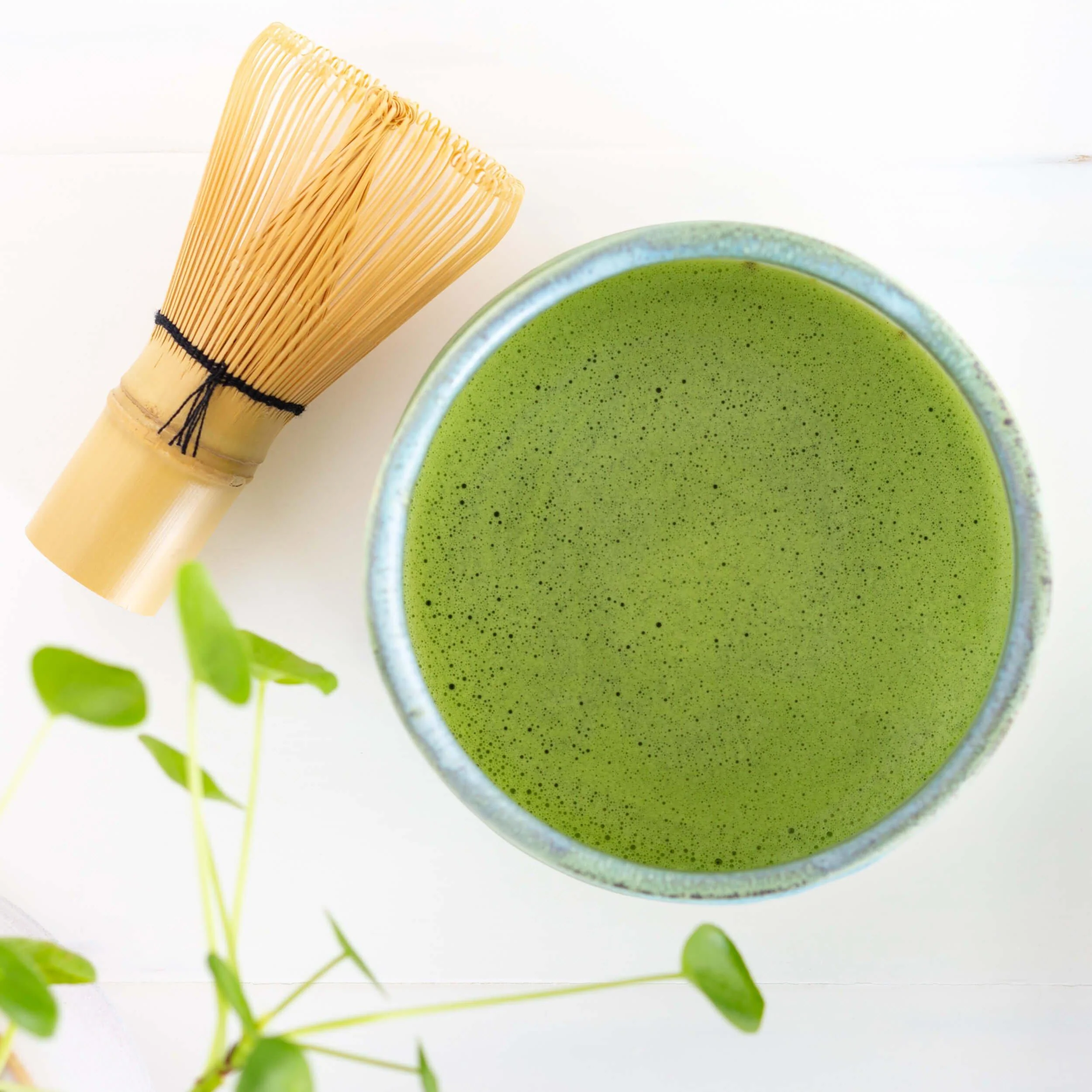 Sugimoto Reserve Mizuki Matcha - Image 2